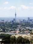 One Tree Hill View of Auckland.JPG (43 KB)